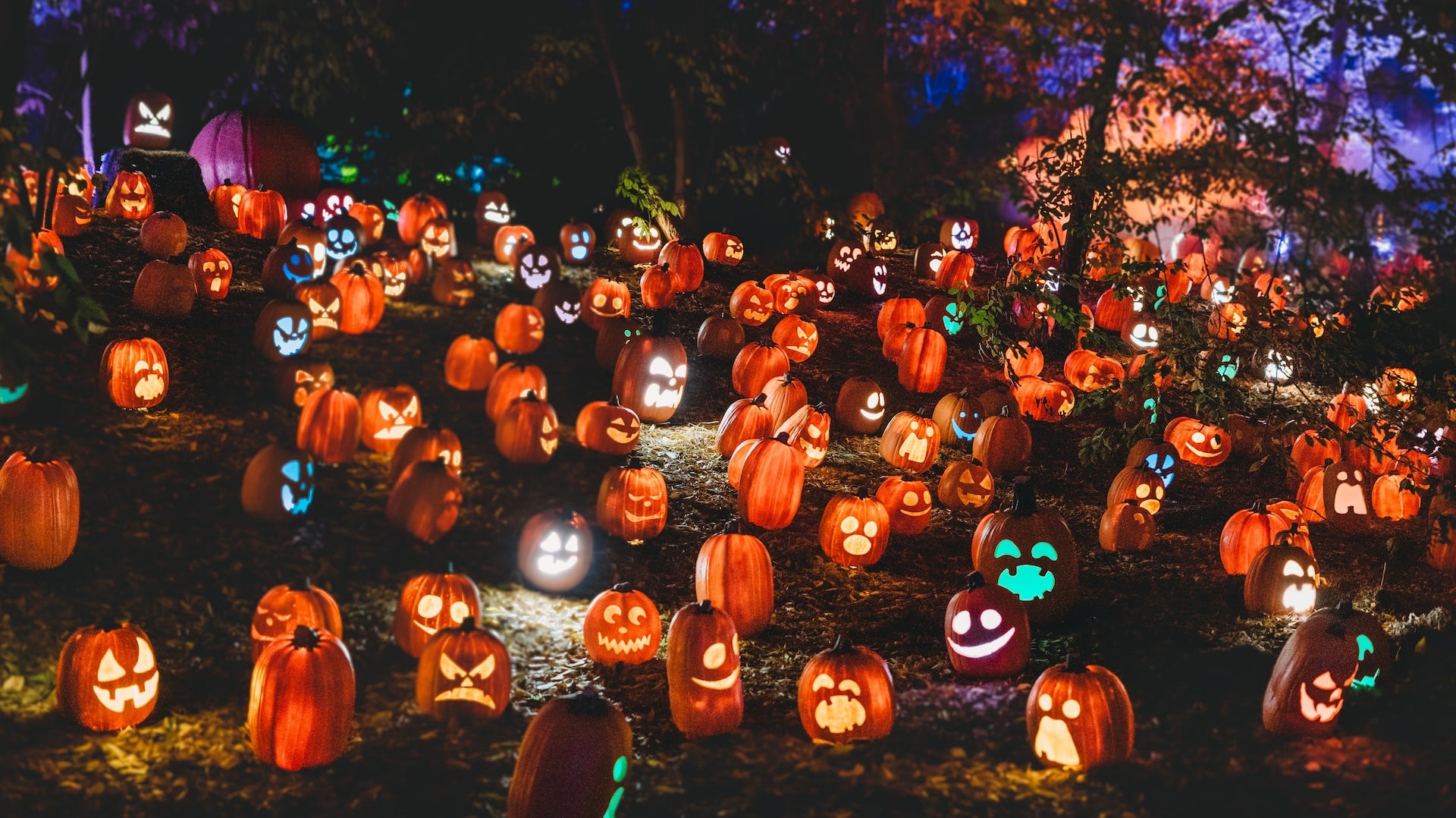 Halloween Nutrition Tips: Enjoy the Spooky Season in a Healthy Way